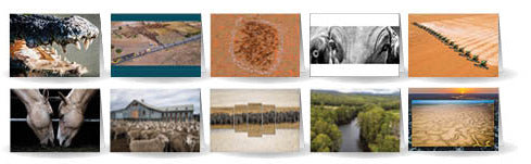 Greeting Cards - Set 4 (10 Cards)