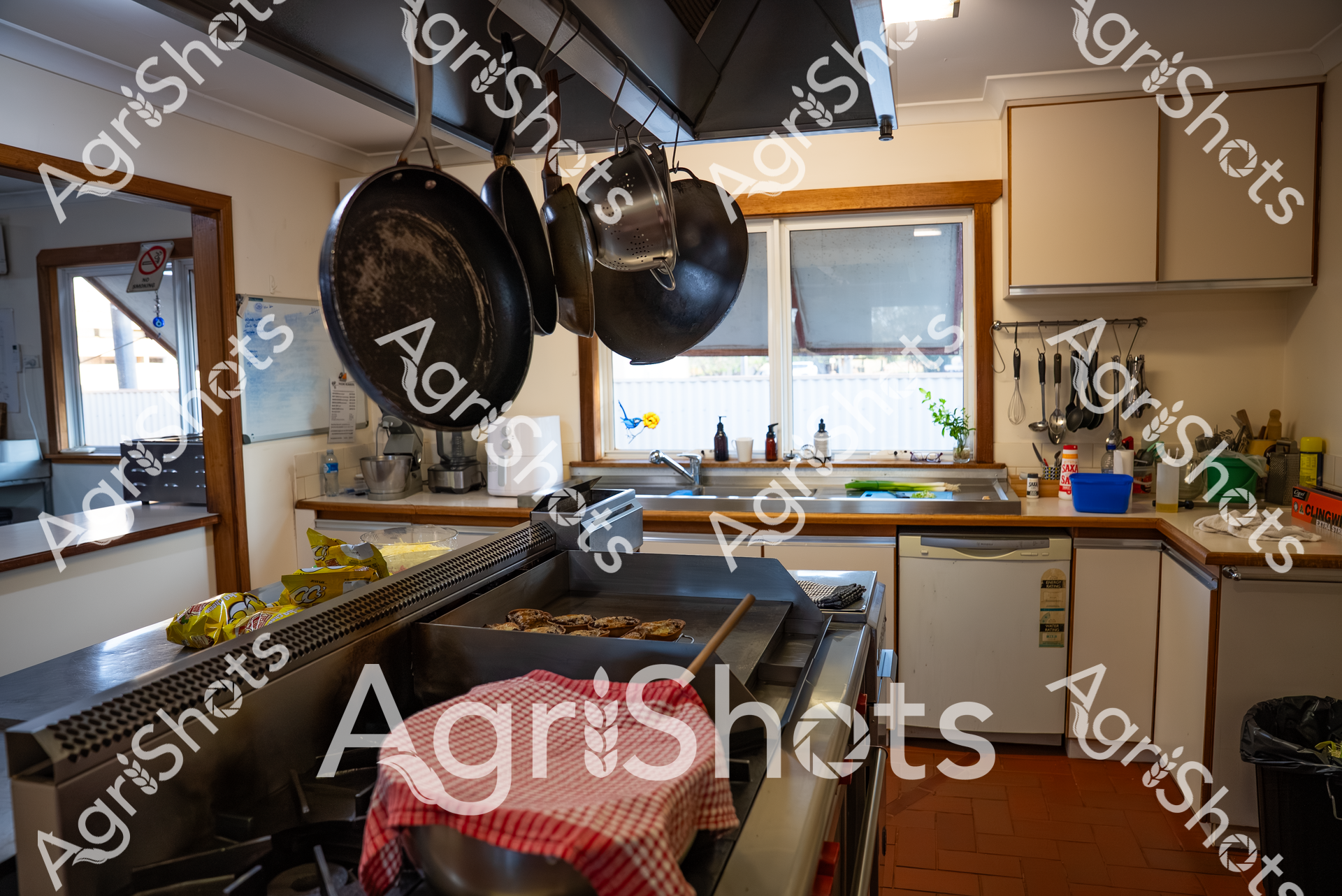 ALMABIN_0158618975_2390262-scaled-watermarked-image-1.png