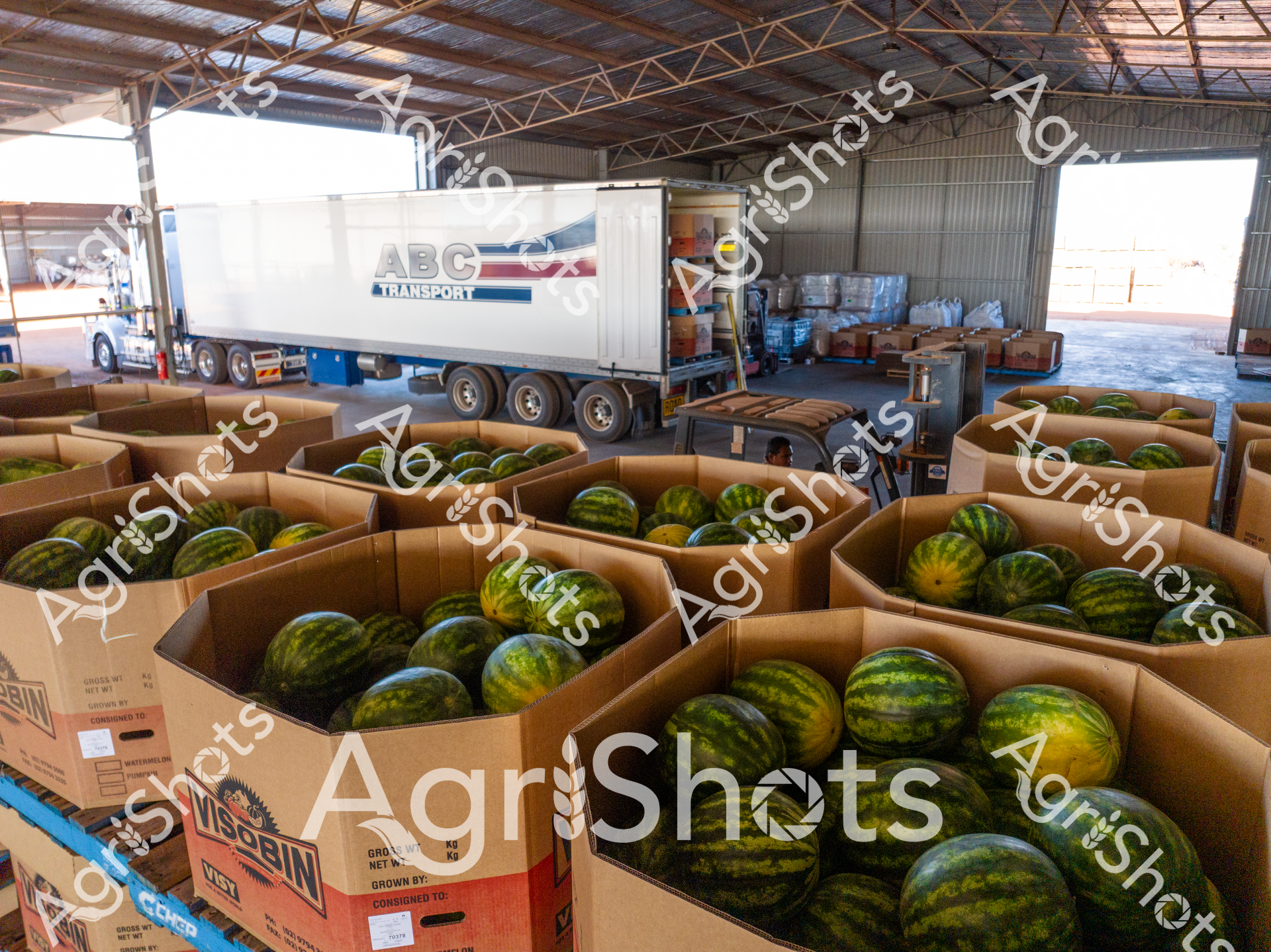 ALMABIN_0164739031_4026291-scaled-watermarked-image-1.png