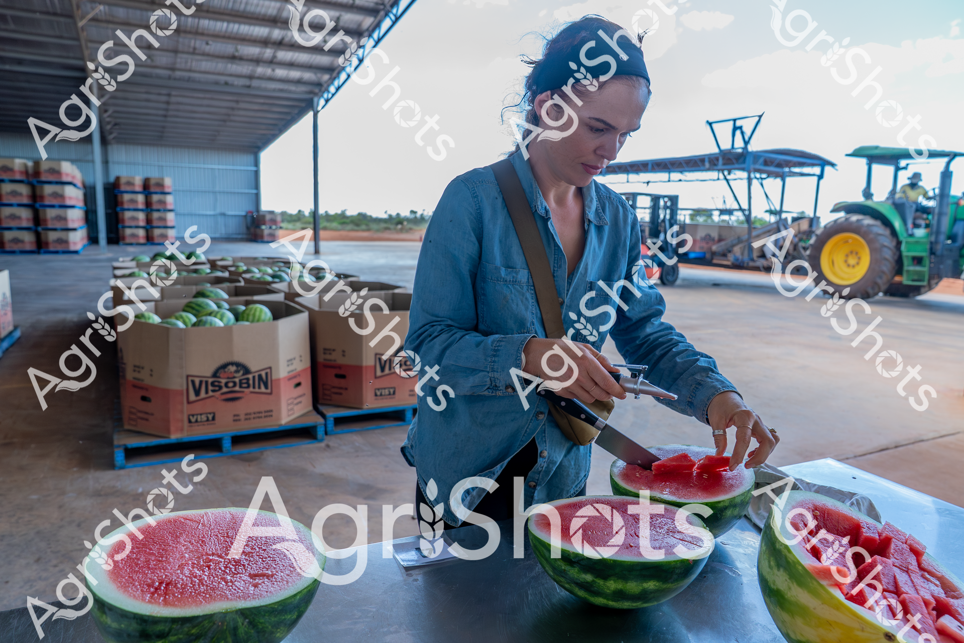 ALMABIN_0299218444_7996459-scaled-watermarked-image-1.png