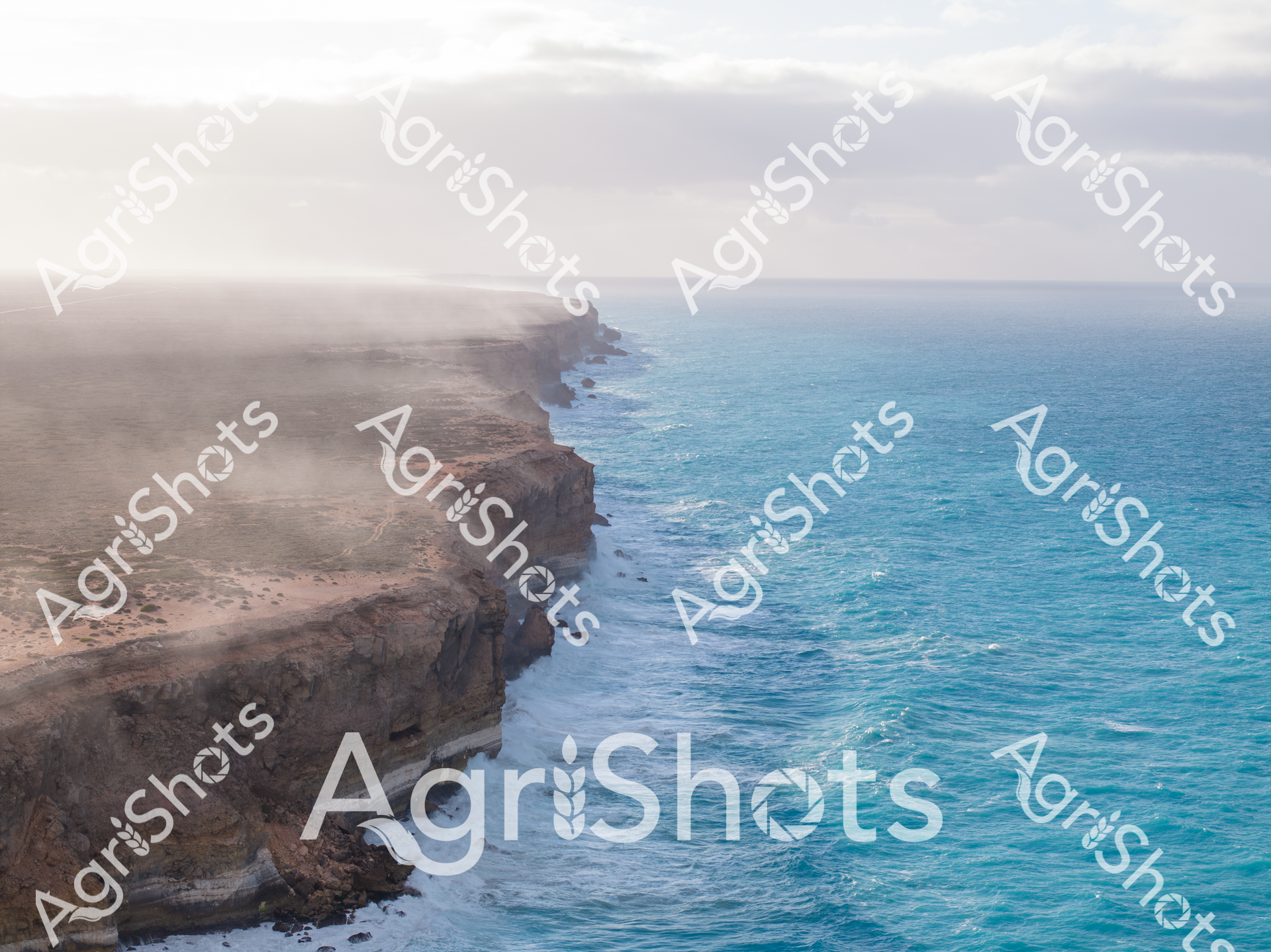 ALMABIN_0350181449_0477935-scaled-watermarked-image-2.png