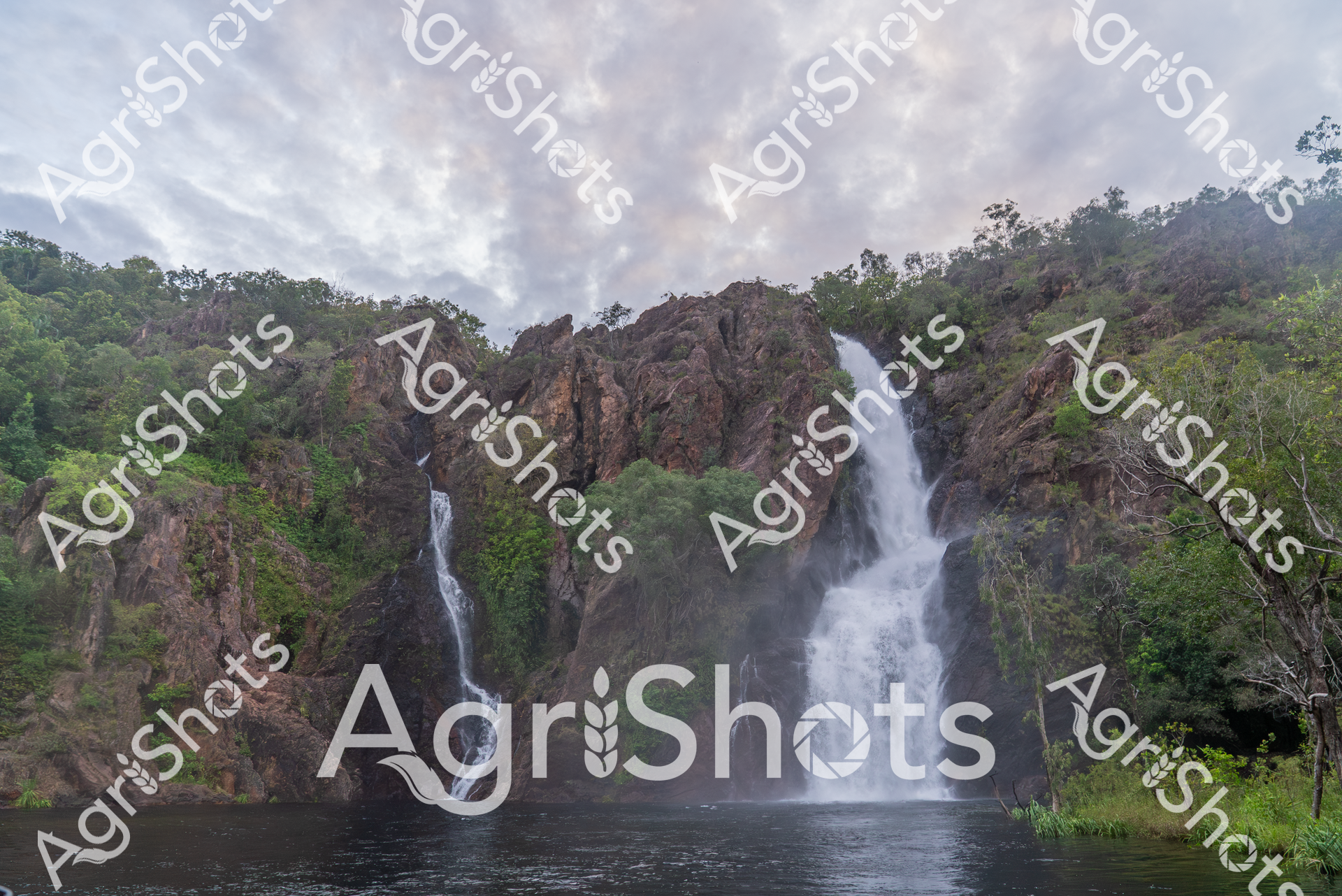 ALMABIN_0358690985_5867391-scaled-watermarked-image-1.png