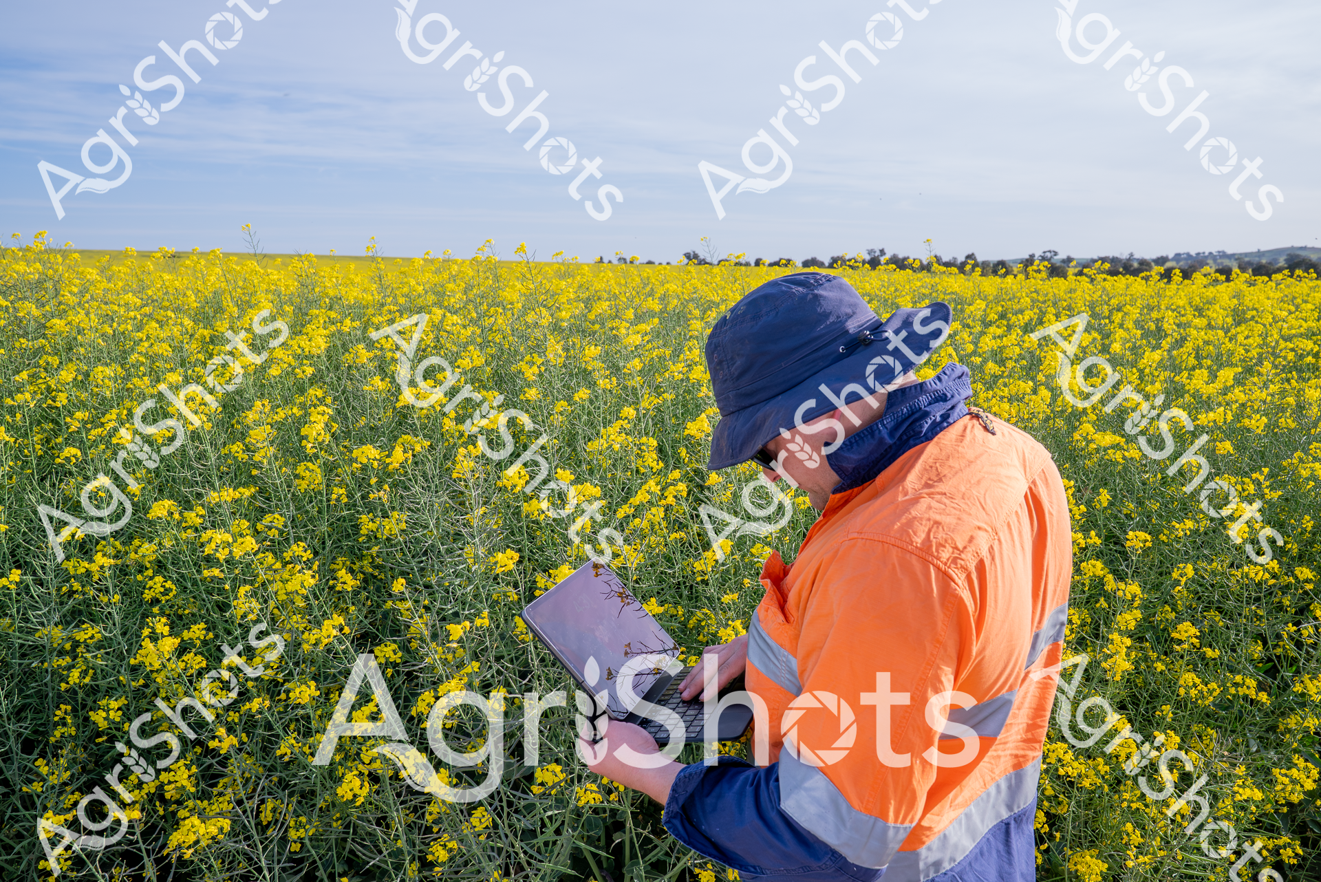 ALMABIN_0380945965_5263065-scaled-watermarked-image-1.png