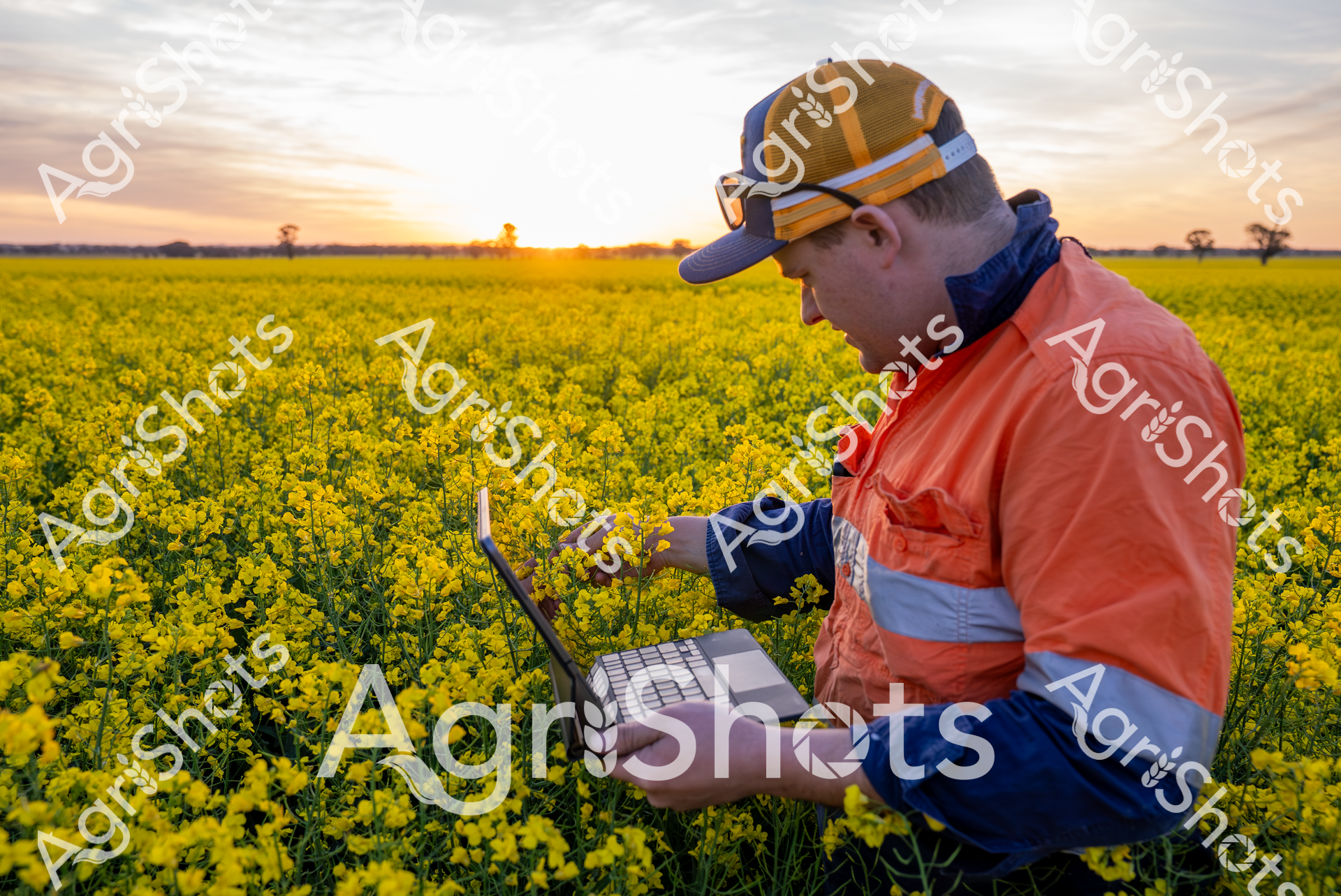 ALMABIN_0620633508_6021608-scaled-watermarked-image-1.png