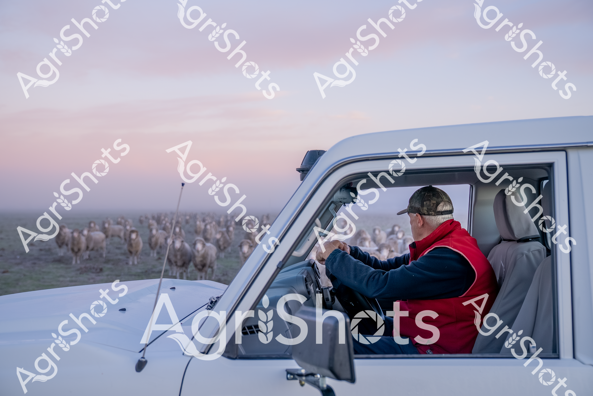 ALMABIN_0636399727_7096060-scaled-watermarked-image-1.png
