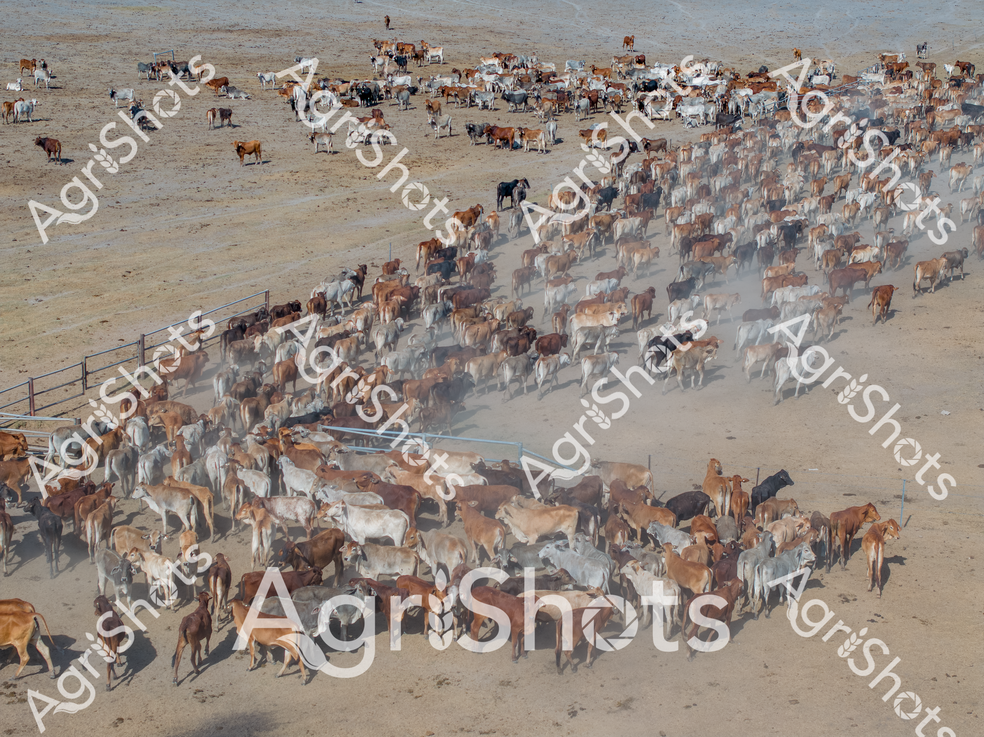 ALMABIN_0731135838_6855170-scaled-watermarked-image-1.png