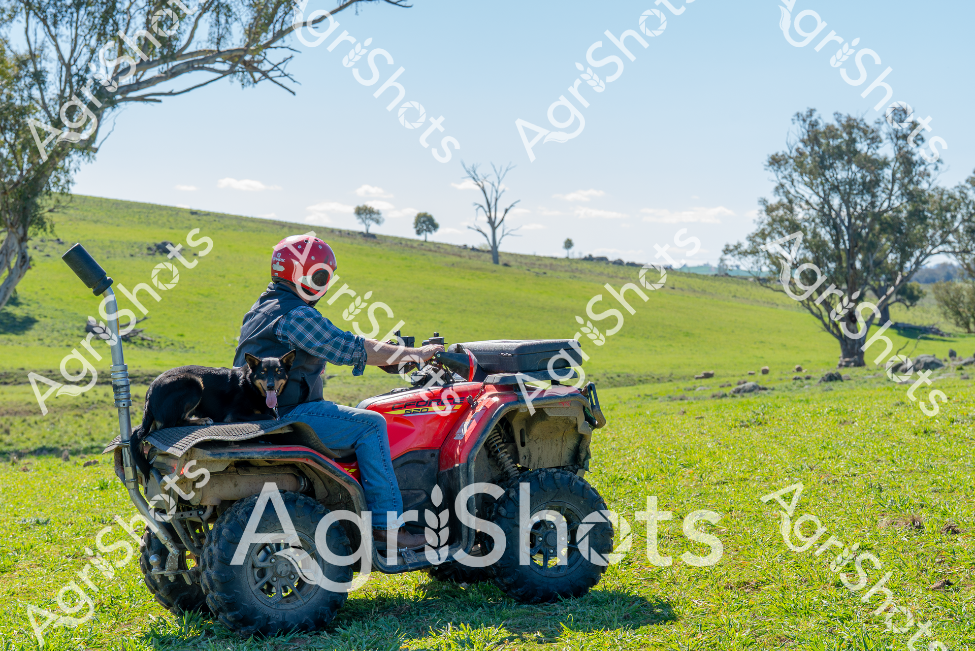 ALMABIN_0793604095_6810855-scaled-watermarked-image-1.png
