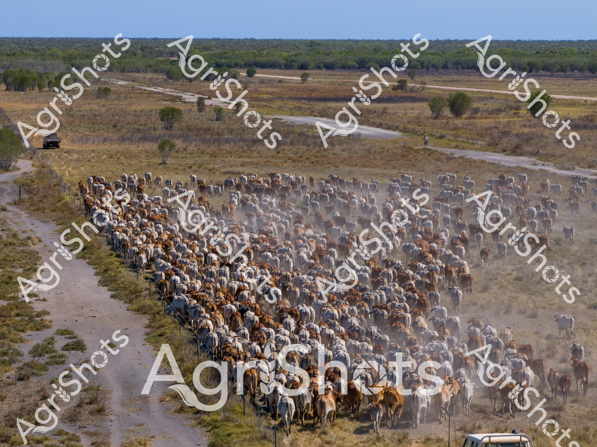 ALMABIN_0816888361_0270430-scaled-watermarked-image-1.png