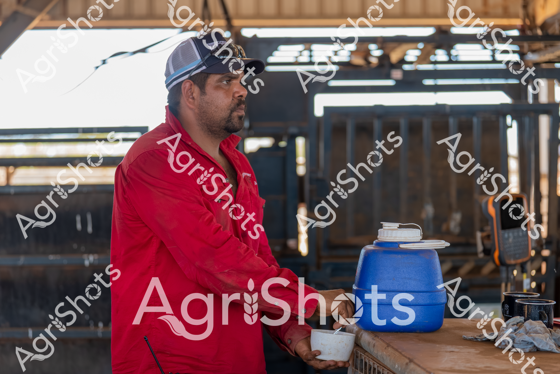 ALMABIN_0974904871_3769450-scaled-watermarked-image-1.png