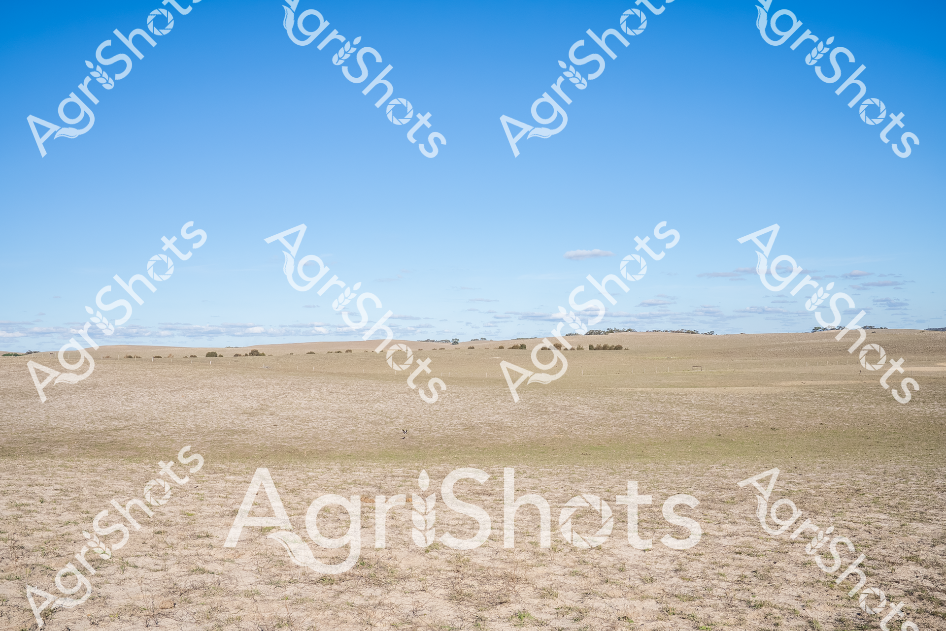 ALMABIN_0982191530_6416248-scaled-watermarked-1.png