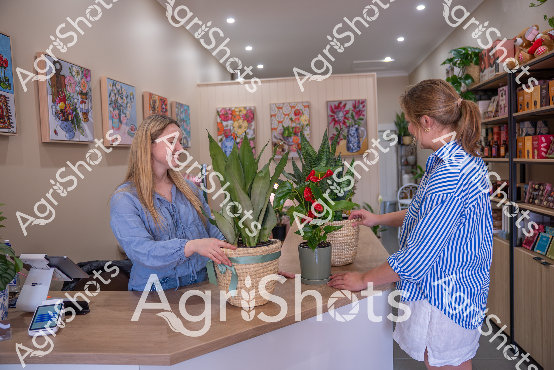 A woman in a blue shirt assists another woman in a blue and white striped shirt at a plant shop. Colorful floral paintings decorate the wall behind them, and potted plants are displayed on the counter. The interior looks bright and welcoming, with shelves of products in the background.