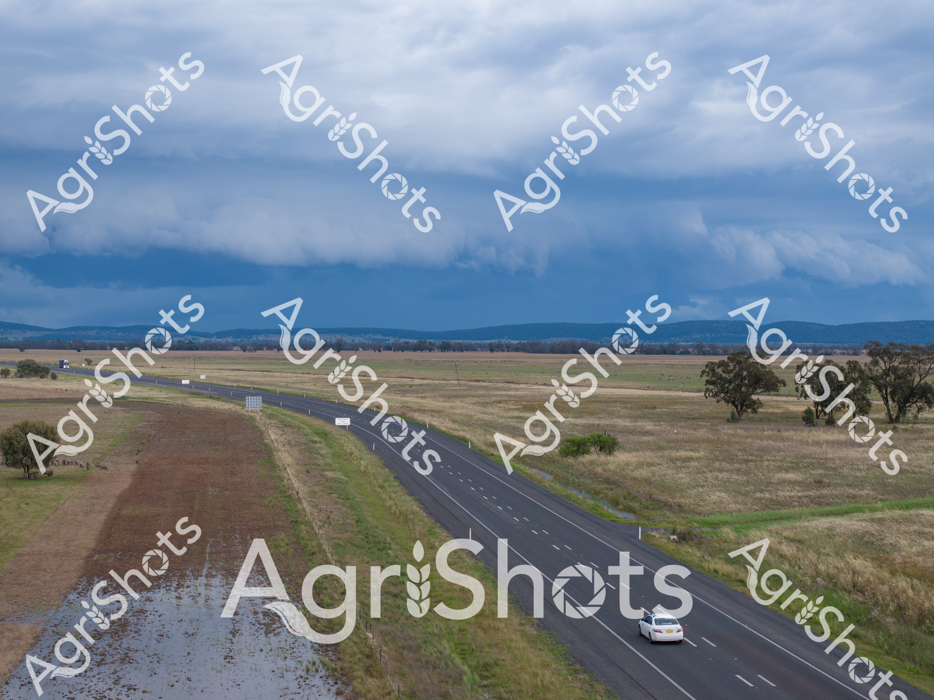 Brooding storm clouds gather over the New England Highway, casting a steely blue-gray palette across the undulating agricultural landscape of northern New South Wales. A solitary white vehicle travels the freshly sealed bitumen road, winding through golden grasslands and scattered eucalyptus trees, highlighting the vast openness of the rural terrain. Recent rains have saturated the adjacent paddocks, creating reflective pools of water that mirror the dramatic cloudscape and emphasize the seasonal rhythms of the agricultural ecosystem. The distant mountain ranges provide a soft, muted backdrop, their silhouettes blending into the turbulent sky and suggesting the rugged resilience of Australia's agricultural heartland. Drainage channels and carefully maintained road verges demonstrate the meticulous infrastructure supporting rural connectivity, while the expansive landscape speaks to the challenging yet beautiful environment that farmers navigate daily. This scene captures the essence of Australian rural life - a delicate balance of natural grandeur, agricultural precision, and the ever-present promise of changing weather.