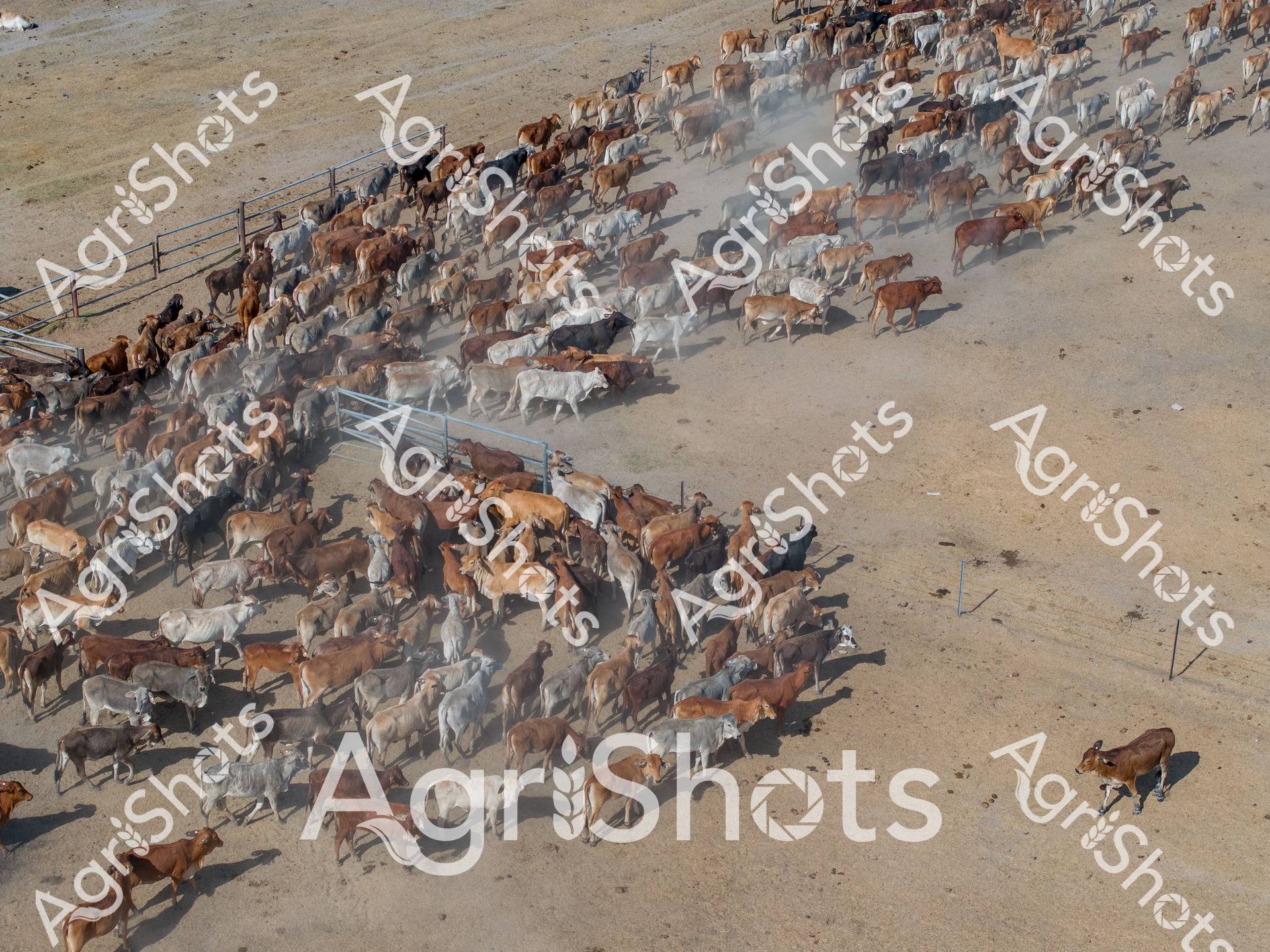 ALMABIN_1432712324_3626803-scaled-watermarked-image-1.png