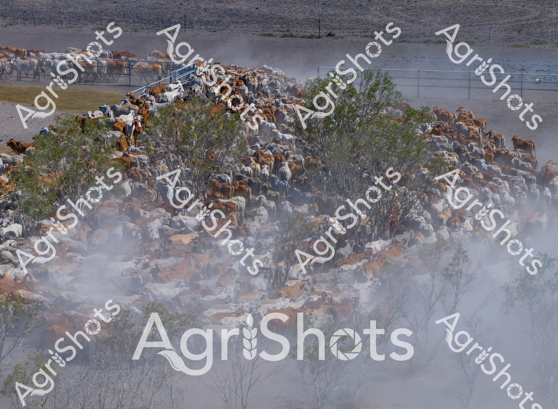 ALMABIN_1468211679_0437137-scaled-watermarked-image-1.png