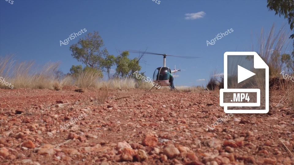 A light helicopter hovers low over a rocky, reddish-brown landscape with sparse trees and tall grasses in an arid Australian region, likely used for aerial mustering or agricultural survey work in a remote outback location under a clear blue sky.