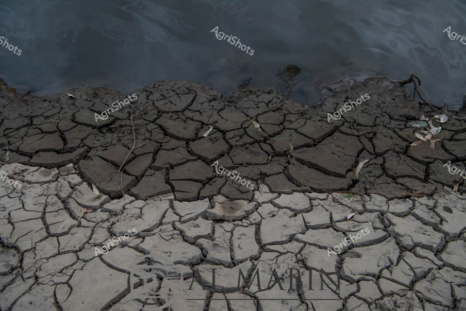 Parched Earth: Drought's Unforgiving Landscape

Cracked clay stretches across the riverbed like a fractured mosaic, revealing the merciless impact of prolonged drought on the Australian landscape. Steely grey tones dominate the scene, with the brittle earth split into angular fragments, each fissure telling a story of water scarcity and environmental stress. The riverbank, once a lifeline for surrounding farmlands, now lies exposed - a testament to the harsh climate challenges facing rural communities. Weathered branches and debris are scattered across the cracked surface, highlighting the desperate struggle of ecosystems during extended dry periods. The darker upper layers of sediment contrast with the lighter, sun-bleached lower sections, creating a powerful visual narrative of environmental transformation. This stark landscape encapsulates the resilience required by Australian farmers and the natural world in the face of increasingly unpredictable climate conditions.