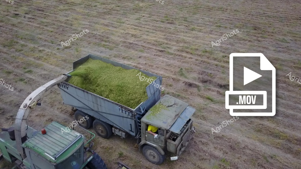 An aerial view of agricultural harvesting shows a large gray truck with a trailer filled with freshly cut green grass or crop, parked on a dirt field with sparse vegetation. A piece of farm equipment, likely a tractor or harvester, is positioned nearby, suggesting ongoing agricultural work. The scene captures the process of crop collection and transportation during harvest season.