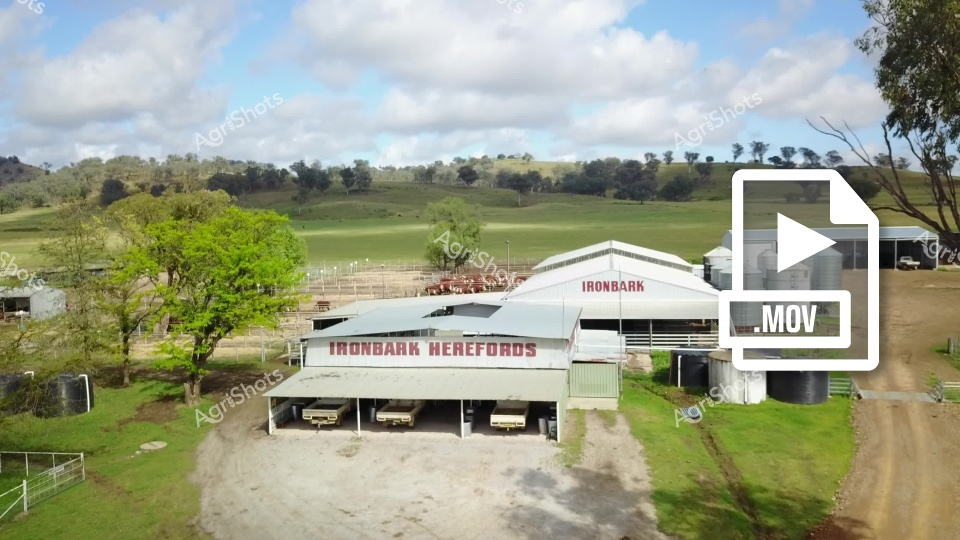 Aerial view of the Ironbark Herefords agricultural facility, showcasing a white farm shed and infrastructure set against rolling green pastures. The property features multiple buildings, cattle yards, and a dirt access road, with lush green trees and hills creating a picturesque rural landscape under a partly cloudy sky.