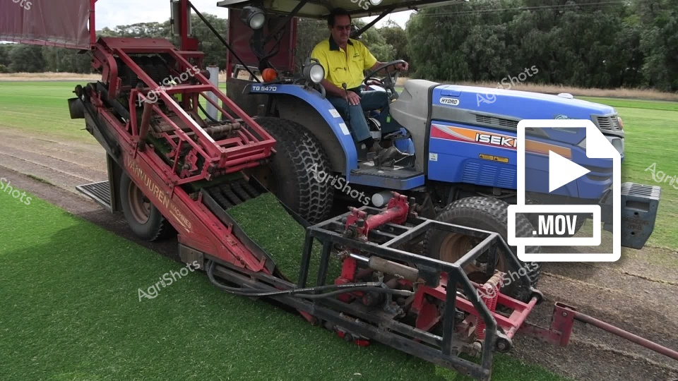 A blue Iseki compact tractor operates a specialized turf installation machine on a manicured grass surface. A male operator in a high-visibility yellow work shirt carefully maneuvers the sophisticated agricultural machinery across what appears to be a precision landscaping or sports field installation site. The red attachment connected to the tractor features complex mechanical components designed for precise ground preparation and turf laying. Robust pneumatic tires provide stable traction across the carefully maintained green surface, indicating professional-grade agricultural or landscape engineering equipment in action. The scene captures the sophisticated technology and precision required in modern turf management and agricultural equipment operation. Detailed machinery markings and the careful positioning of the equipment suggest a methodical approach to ground preparation and surface installation.