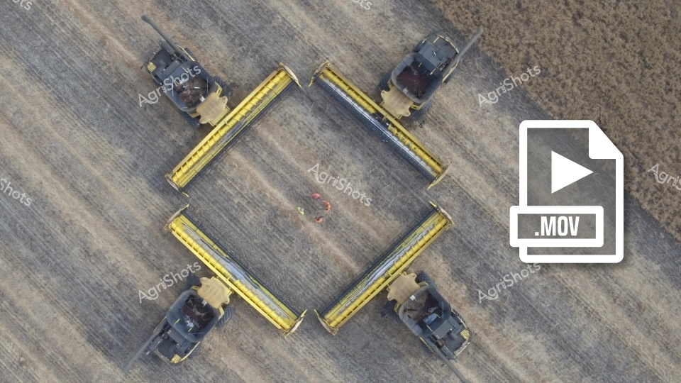 Aerial view of four combine harvesters positioned in a symmetrical square formation, harvesting a field with yellow and dark header attachments. The machines are precisely aligned on a muted gray and brown agricultural landscape, suggesting a coordinated and efficient harvesting operation. Yellow and dark gray harvesting equipment creates a geometric pattern against the textured field surface.