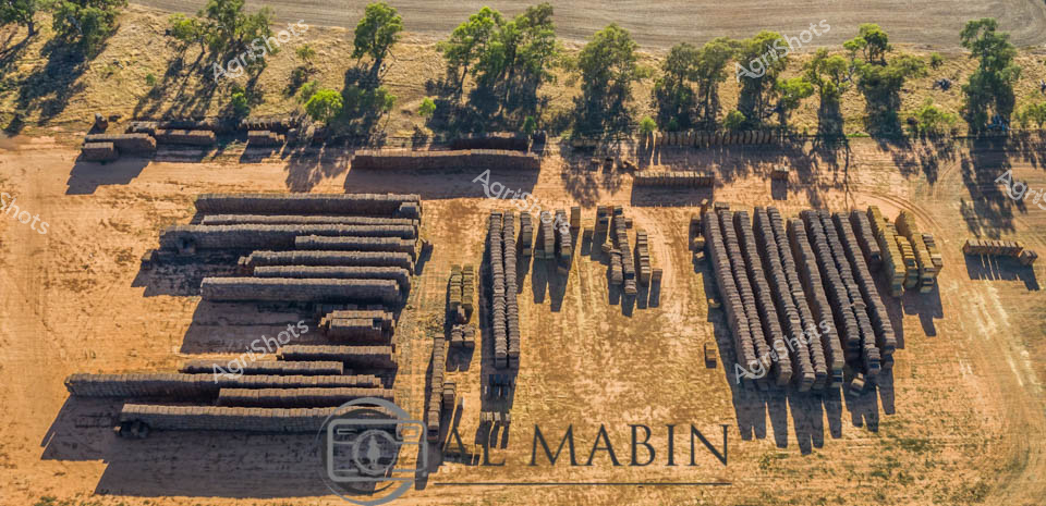 Agricultural expertise is evident in the methodical arrangement of these compressed fodder columns, carefully positioned to optimize storage and transport efficiency. The aerial perspective reveals a patchwork of earthen tones - rich brown soil, tawny grass, and the deep charcoal-brown of the tightly bound hay rolls. Towering eucalyptus trees line the field's edge, providing a verdant contrast to the arid terrain and offering gentle shade to the meticulously organized agricultural asset. Each bale represents months of careful cultivation, representing the critical link between land, livestock, and agricultural productivity.