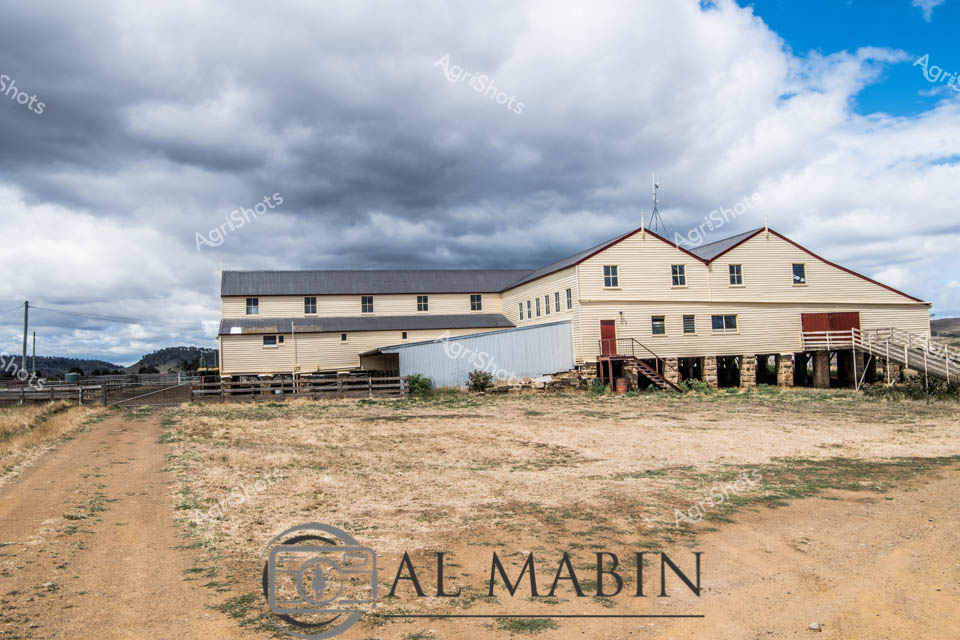 The lens captures the rugged essence of a Tasmanian woolshed, standing resolute against a dramatic cloudscape of steel-grey and brilliant blue. The weathered timber structure, elevated on sturdy stumps, speaks to generations of pastoral heritage, its pale cream cladding contrasting sharply with the parched golden grasslands surrounding it. Expansive sheep yards radiate from the building, their wooden fences creating geometric lines across the sun-bleached landscape, hinting at the rhythmic work of shearing and livestock management that has shaped this rural terrain.

Clouded skies suggest the unpredictable maritime climate of Tasmania, where pastoral operations must be resilient and adaptable. The woolshed's architectural design - with its multiple levels and strategic openings - reveals sophisticated understanding of airflow, sheep handling, and the practical demands of wool production. Rust-red accents on doorways and structural elements provide warm punctuation to the neutral palette, reflecting the robust and no-nonsense character of Australian agricultural infrastructure.

This image is a powerful testament to the enduring spirit of Tasmania's agricultural landscape - a scene where human enterprise and natural environment converge in a timeless, intricate dance of survival and productivity.