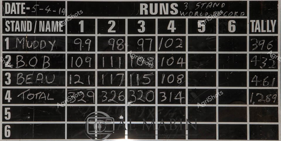 This image appears to be a scoreboard or performance tracking sheet dated 5-4-14, documenting shooting or target practice performance. The black and white document lists names of participants - including "Muddy", "Bob", and "Beau" - with numerical scores recorded across multiple columns.

The top section shows individual performance columns, with scores ranging from 98 to 121 across different shooting attempts or stages. The rightmost "TALLY" column summarizes total performance, with "Muddy" achieving 396, "Bob" reaching 435, and "Beau" scoring 461.

A fourth row labeled "TOTAL" tracks cumulative scores, with numbers ranging from 314 to 329 across different columns. The document looks like a professional scoring sheet, potentially from a shooting competition or training event, with precise numerical tracking and a structured grid layout.

The image has a vintage, handwritten quality, with numbers manually inscribed on what appears to be a black chalkboard or scoreboard. The date and meticulous record-keeping suggest this is a formal performance tracking document from a specific shooting-related event or training session.