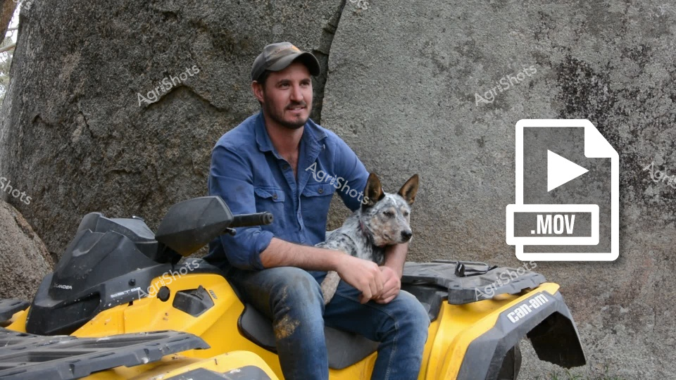 A man wearing a blue work shirt and cap sits on a yellow Can-Am all-terrain vehicle (ATV) next to a large rocky surface. He is accompanied by a speckled blue heeler or Australian cattle dog, and both appear to be resting during what seems to be an outdoor work or recreational activity in a rugged terrain.