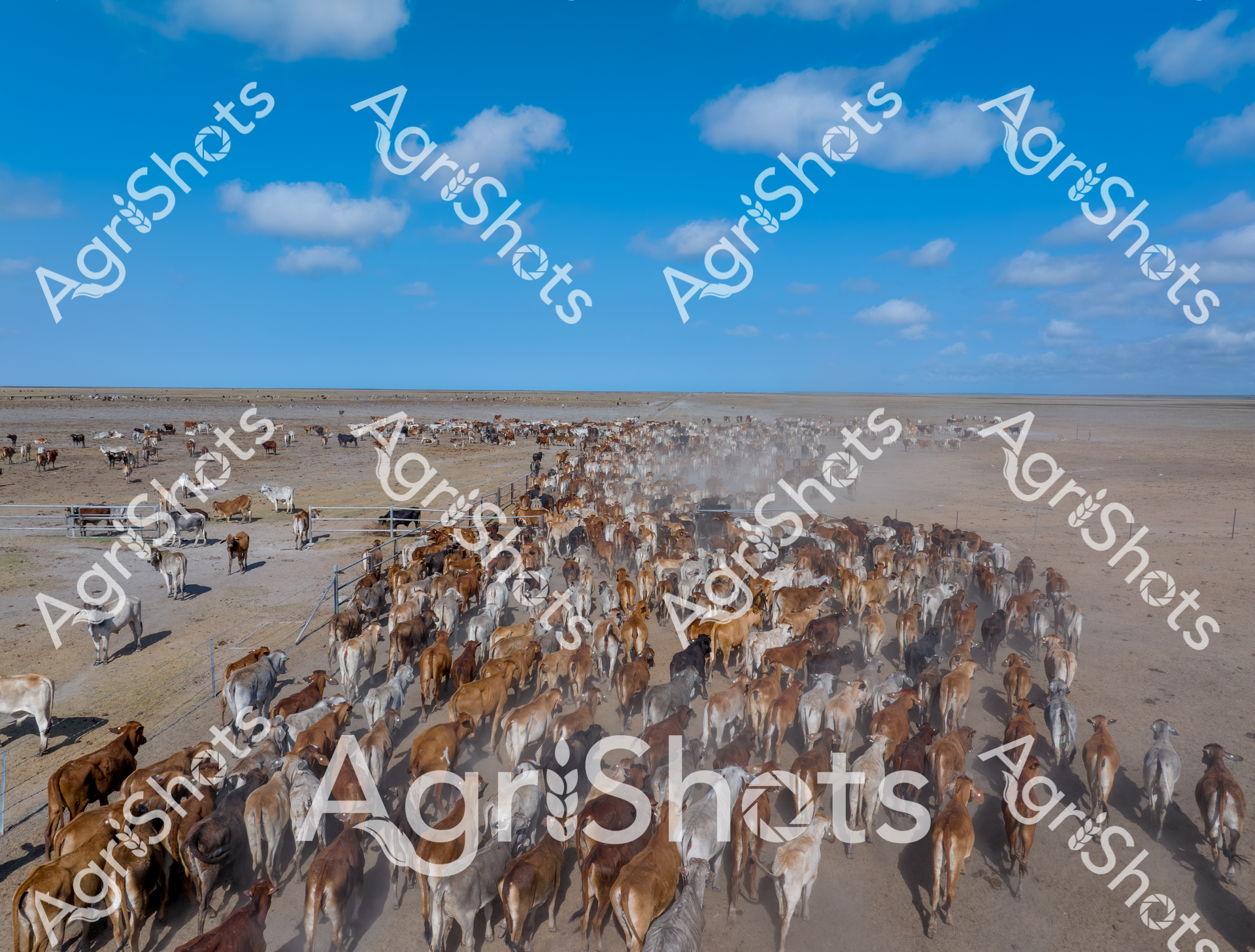 ALMABIN_1566004127_2252095-scaled-watermarked-image-1.png