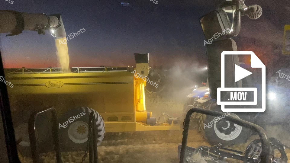 A golden wheat harvesting scene captured at sunset in New South Wales, showing a New Holland header working alongside a Finch Engineering chaser bin. The machinery stands silhouetted against the twilight sky, with dust billowing around the equipment as grain is transferred during the agricultural operation.