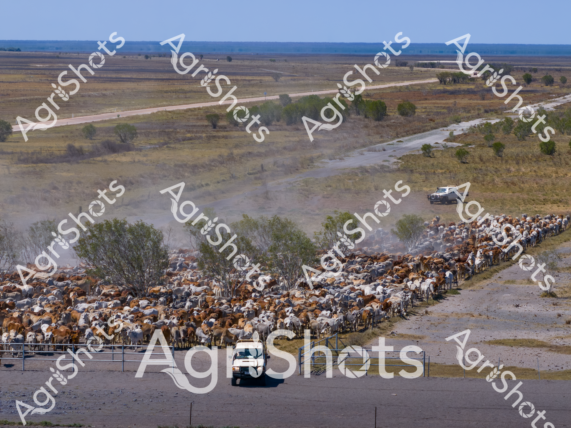 ALMABIN_1608461622_7756317-scaled-watermarked-image-1.png
