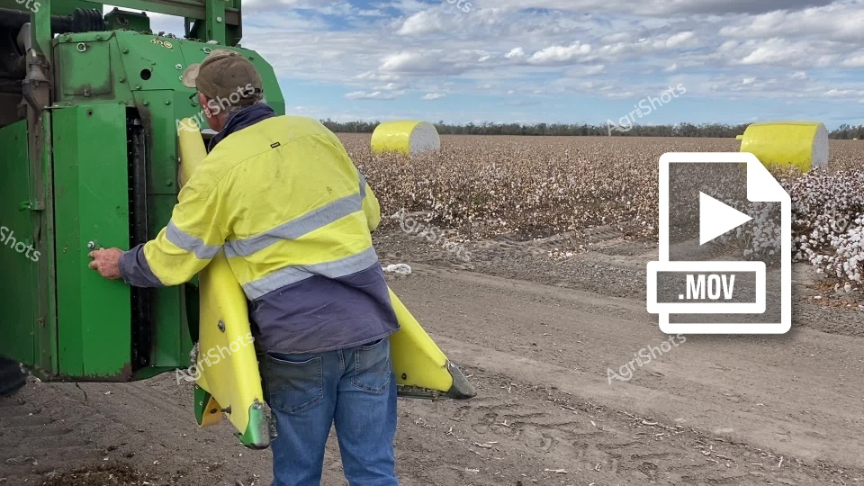 A farm worker in high-visibility safety gear operates green John Deere cotton picking equipment in a vast cotton field in the Walgett Shire region of New South Wales. The worker focuses intently on the GPS controls of the cotton picker as fluffy white cotton modules dot the harvested landscape behind them. The scene captures the precision and technology involved in modern cotton harvesting operations, with the expansive field stretching toward a cloudy sky. This industrial-scale cotton harvest demonstrates the sophisticated machinery and safety protocols essential to Australia's cotton cropping industry.