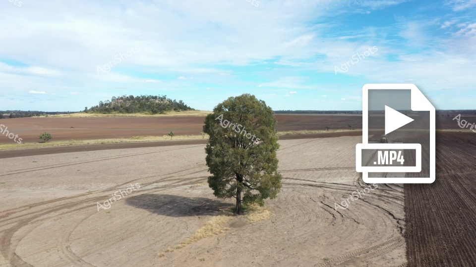 A lone tree stands resilient in the center of a meticulously plowed agricultural field, surrounded by circular tractor tracks under a vast blue Queensland sky. The expansive farmland stretches to a distant treeline, showcasing the precision of modern farming techniques in preparing the ground for wheat planting.