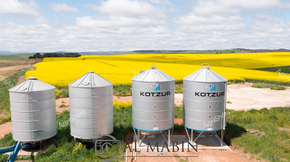 Golden canola fields stretch to the horizon, punctuated by gleaming Kotzur grain silos standing sentinel across the rural landscape. Four meticulously engineered agricultural storage units - two mounted on ground frames, two elevated on conical bases - anchor the foreground against a sweeping backdrop of brilliant yellow flowering crops and soft clouded skies. The silver-blue silos bear the distinctive Kotzur branding, representing cutting-edge Australian agricultural infrastructure designed to store and manage critical grain harvests. Brilliant yellow canola blooms create a vibrant carpet that contrasts dramatically with the silvery metallic precision of the storage systems, capturing the intersection of natural abundance and technological innovation in modern farming. The scene epitomizes the sophisticated agricultural practices of rural New South Wales, where advanced storage solutions protect valuable crop yields. Each silo represents both functional engineering and a testament to the agricultural resilience of Australian farming communities, standing ready to collect and preserve the season's hard-won harvest.