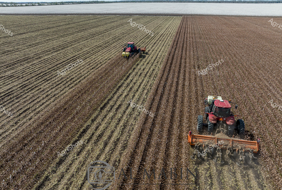 Expansive cotton fields stretch to the horizon, golden-brown with mature bolls ready for harvest. Two powerful red tractors navigate precise parallel rows, their massive wheels leaving distinctive tracks across the richly textured landscape. In the foreground, a tractor pulls an orange mulching implement, systematically processing crop residue and preparing the field for the next planting cycle. The distant waterline suggests this is a Queensland agricultural region, where broad-acre farming transforms the natural terrain into a carefully managed production environment. Aerial perspective reveals the immense scale of modern agricultural operations, with geometric precision highlighting the intersection of technological innovation and agricultural craft. Soft, muted earth tones of browns and tans dominate the scene, creating a sense of rhythmic order and methodical agricultural process.
