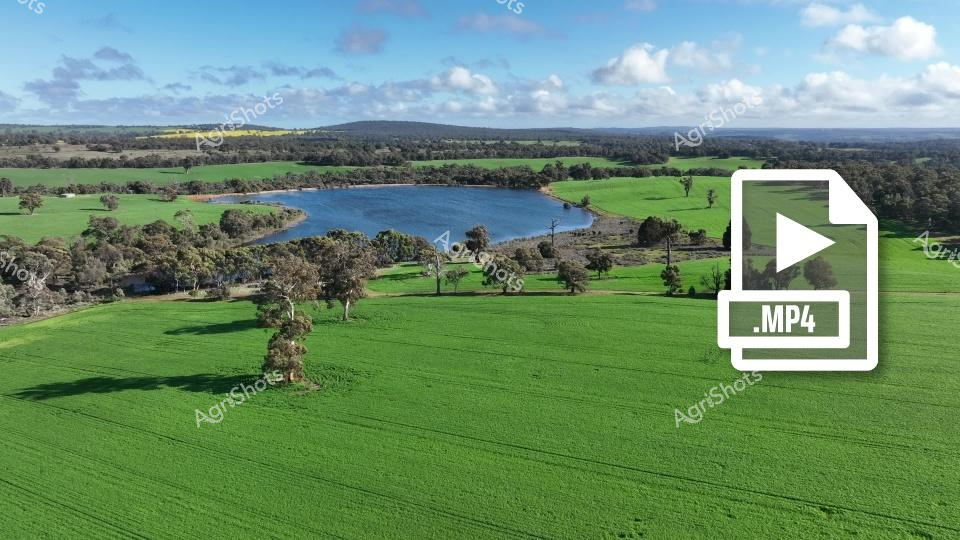 A tranquil rural landscape unfolds across verdant green pastures, featuring a serene blue dam nestled among scattered eucalyptus trees. The expansive agricultural setting reveals a patchwork of lush green fields stretching toward distant hills, with native trees providing natural breaks in the undulating terrain. Soft white clouds drift across a clear blue sky, creating a quintessential Australian agricultural scene that speaks to the fertility and beauty of rural farmland. The vibrant green paddocks suggest excellent growing conditions, with carefully maintained pastures indicating productive agricultural land. Rolling hills in the background create depth and perspective, highlighting the vast and open nature of the Australian rural landscape. The water body reflects the sky, adding a mirror-like quality to the scene and providing essential water resources for the surrounding agricultural environment.