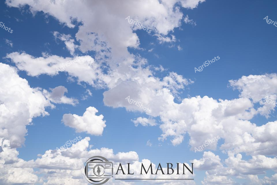 ALMABIN_1675579460_91.png_wp44010.jpg
