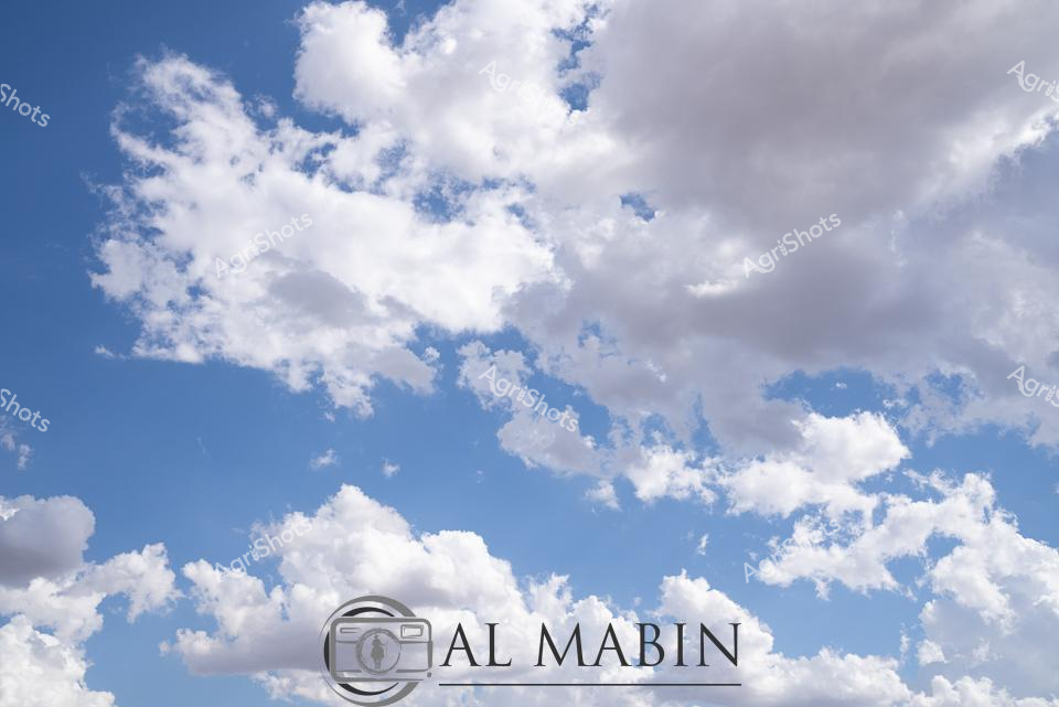 ALMABIN_1675579460_92.png_wp44012.jpg