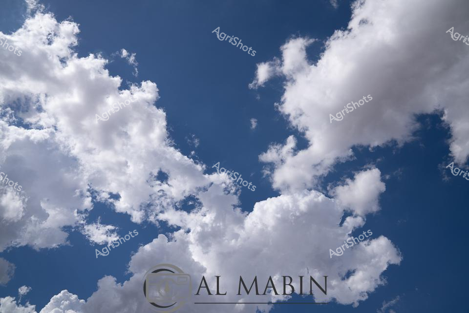 ALMABIN_1675579487_93.png_wp44014.jpg