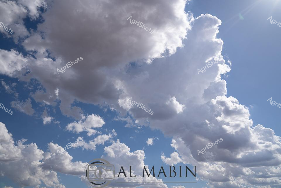 ALMABIN_1675579489_96.png_wp44020.jpg