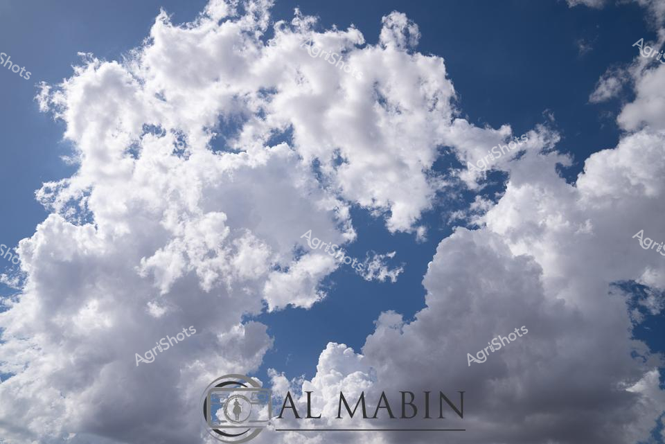 ALMABIN_1675579489_97.png_wp44022.jpg