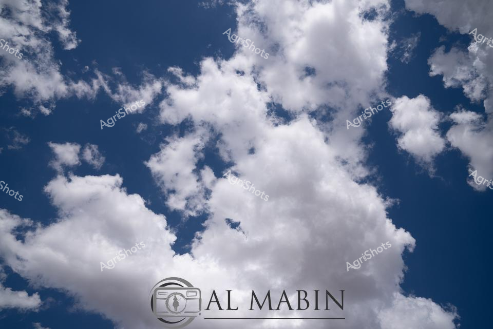 ALMABIN_1675579657_02.png_wp44032.jpg