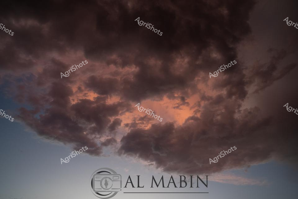 ALMABIN_1675580015_22.png_wp44054.jpg
