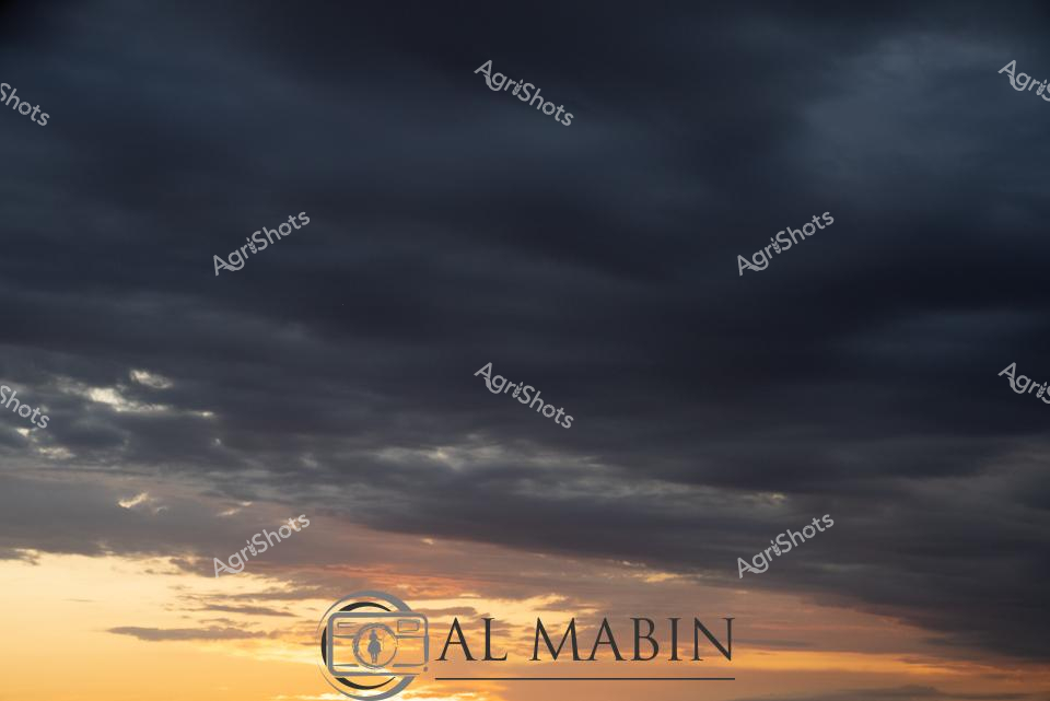 ALMABIN_1675580033_25.png_wp44060.jpg