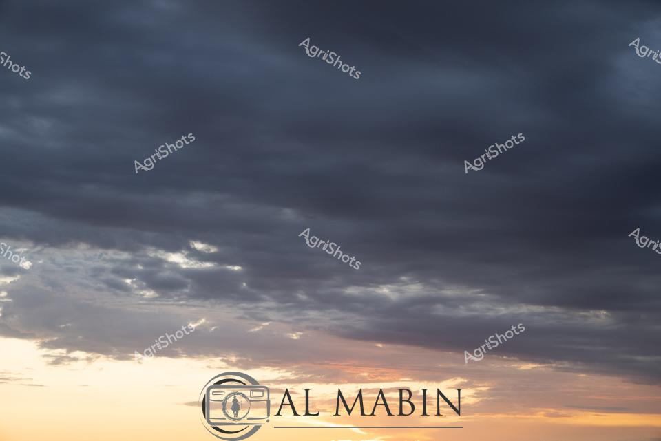 ALMABIN_1675580043_24.png_wp44058.jpg