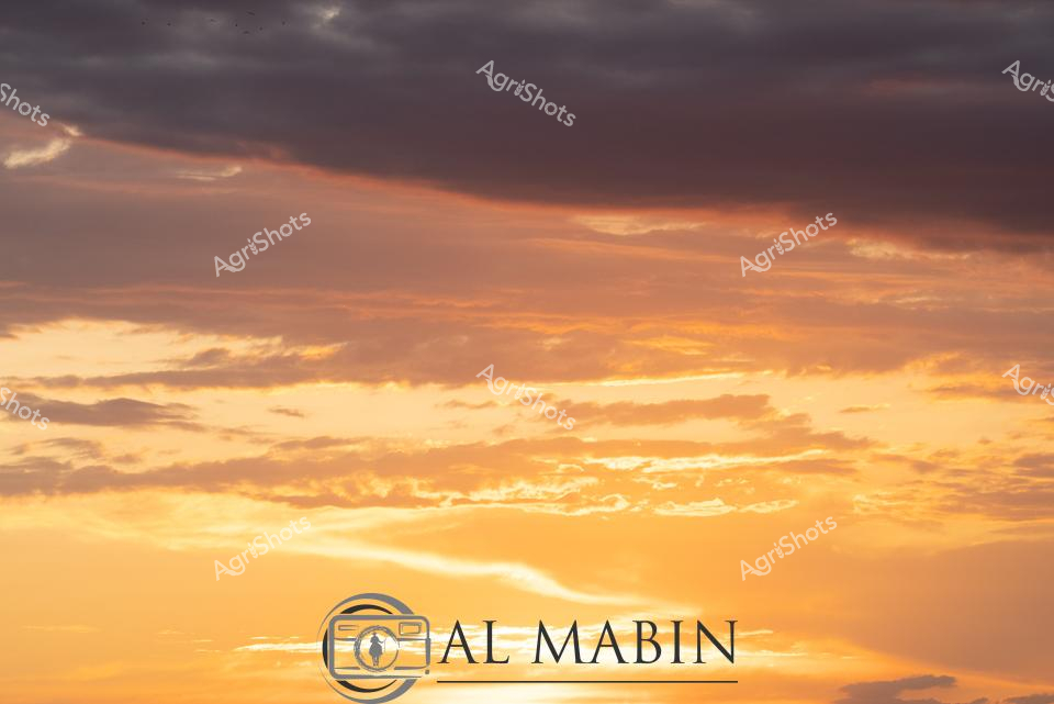 ALMABIN_1675580061_27.png_wp44064.jpg