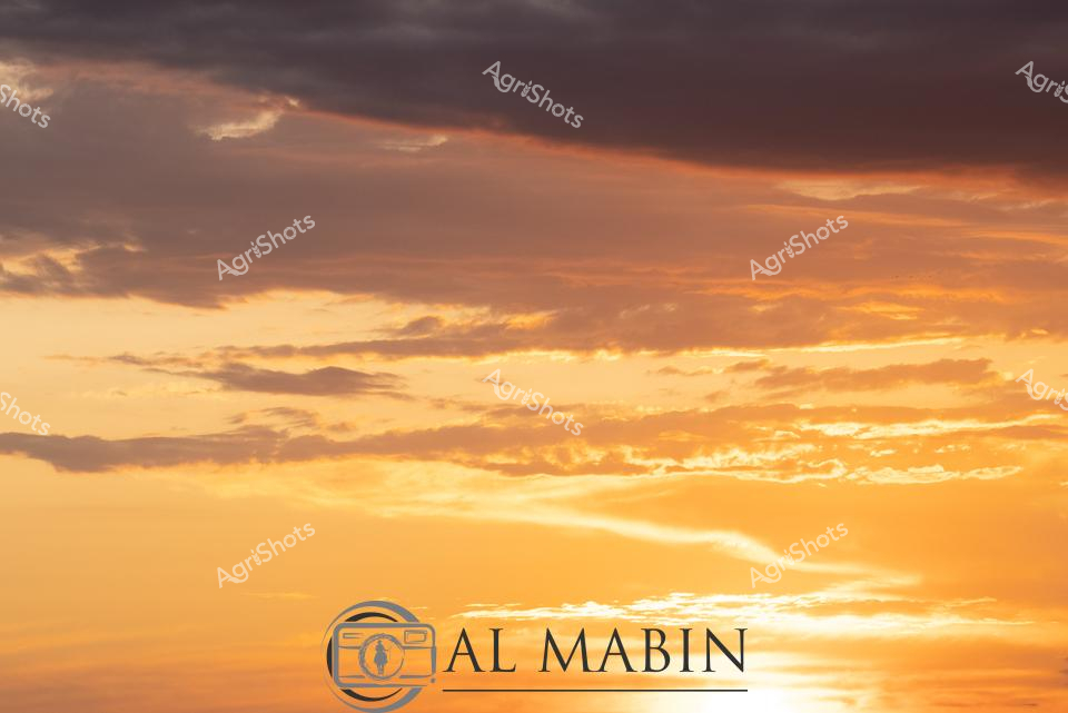 ALMABIN_1675580086_29.png_wp44068.jpg