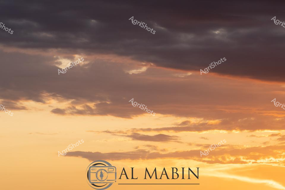 ALMABIN_1675580088_30.png_wp44070.jpg