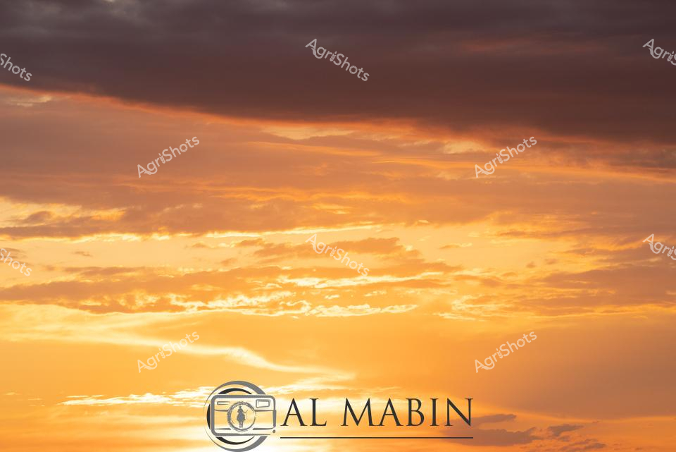ALMABIN_1675580089_31.png_wp44072.jpg