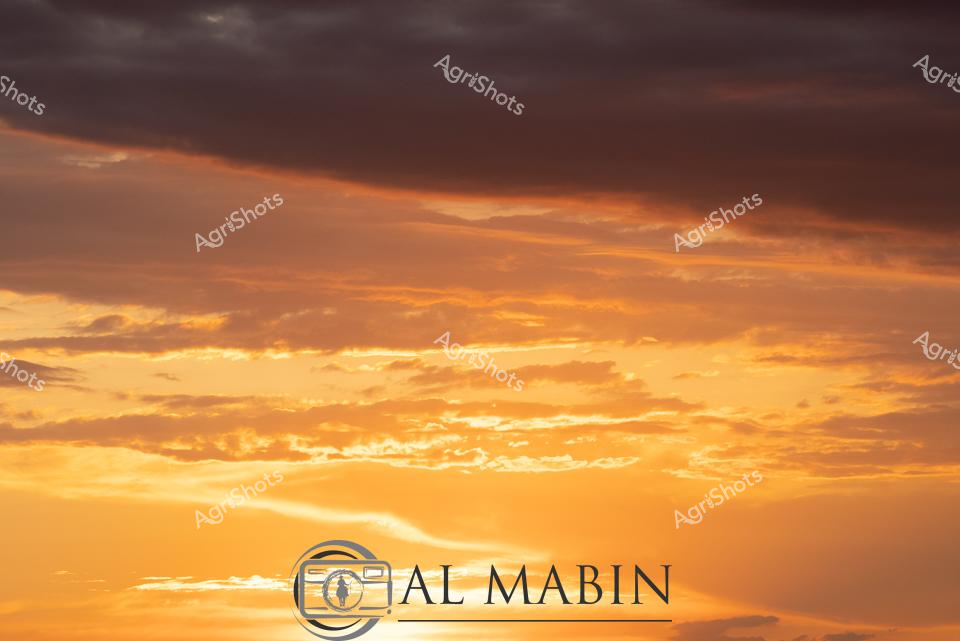 ALMABIN_1675580102_32.png_wp44074.jpg